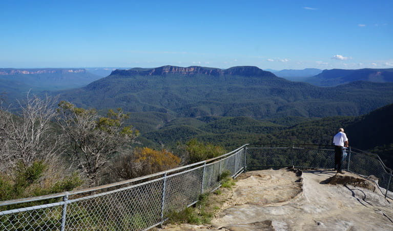 Prince Herny Cliff - Olympian Rock, Fern Bower Circuit, Blue Mountains National Park. Photo: Steve Alton &copy; OEH