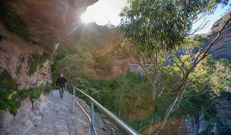 Fern Bower Amphitheatre walk, Blue Mountains National Park. Photo: Nick Cubbin