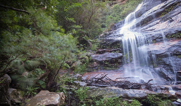 Fern Bower Amphitheatre walk, Blue Mountains National Park. Photo: Nick Cubbin