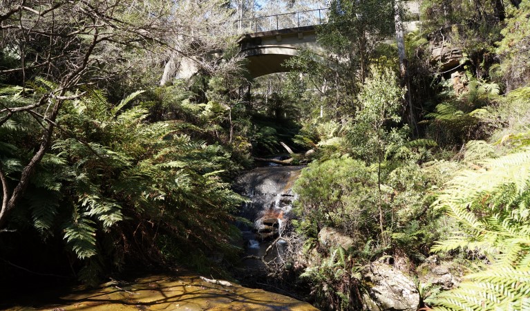 Leura Cascades in the Katoomba area of Blue Mountains National Park. Photo: Steve Alton &copy; OEH