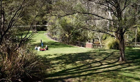 Picnic area in the Blue Mountains. Photo: Steve Alton