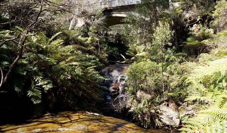 Leura Cascades picnic area in the Blue Mountains. Photo: Steve Alton