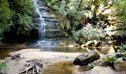 Lyrebird Dell walking track, Blue Mountains National Park. Photo: Steve Alton &copy; OEH