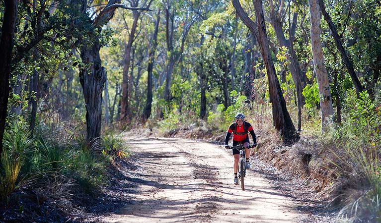 Wentworth Falls To Mcmahons Point Nsw