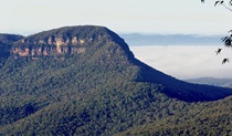 Korowal Knife Edge on Mount Solitary, Blue Mountains National Park. Photo: Steve Alton &copy; OEH