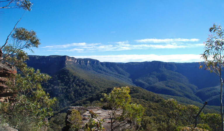 Mount Solitary Walking Track, Blue Mountains National Park. Photo: Aine Gliddon/NSW Government