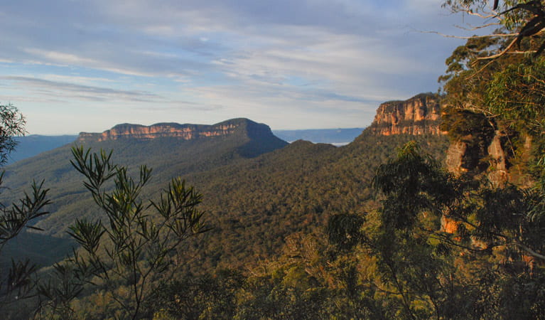 Mount Solitary walking track, Blue Mountains National Park. Photo &copy; Aine Gliddon