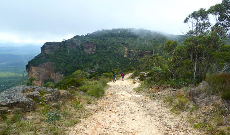 Narrow Neck Fire Trail, Blue Mountains National Park. Photo: Aine Gliddon/NSW Government