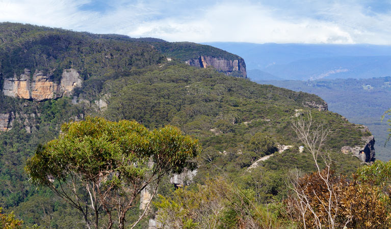 Narrow Neck Fire Trail, Blue Mountains National Park. Photo: Steve Alton/NSW Government