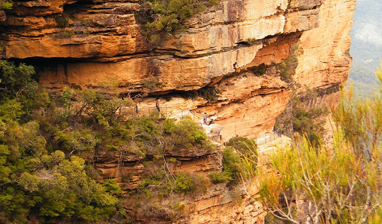 National Pass walk, Blue Mountains National Park. Photo: Craig Marshall &copy; OEH