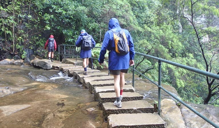 Stepping stones along National Pass, Blue Mountains National Park. Photo &copy; Aine Giddon
