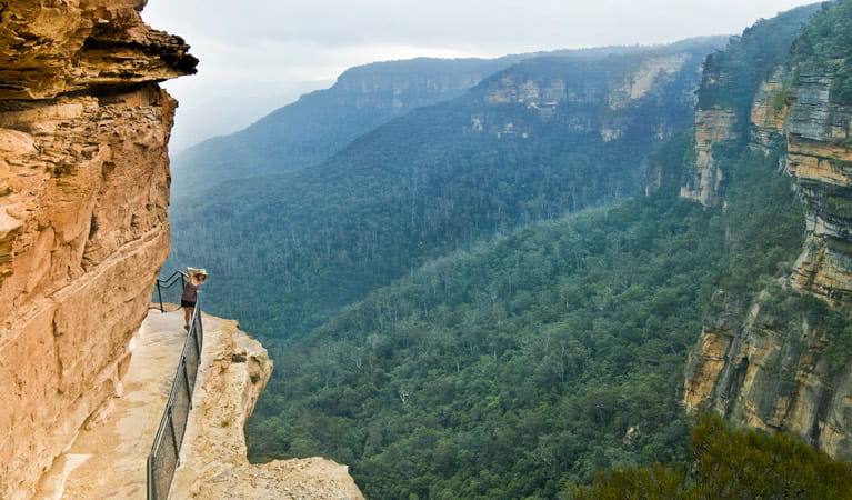 National Pass, Blue Mountains National Park. Views of Wentworth Falls waterfall plunging down into the Jamison Valley. Photo: David Finnegan/NSW Government