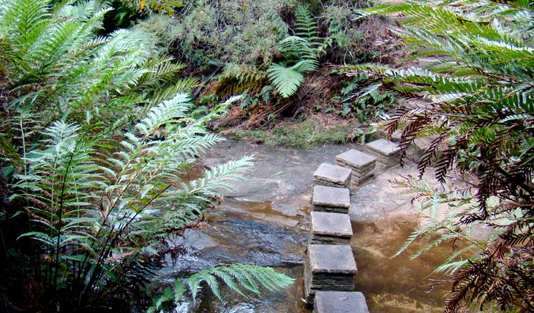 Nature track, Blue Mountains National Park. Photo: Steve Alton &copy; OEH