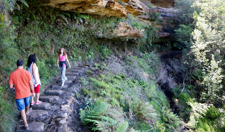 Undercliff-Overcliff circuit, Blue Mountains National Park. Photo: Steve Alton