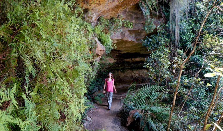 Undercliff-Overcliff circuit, Blue Mountains National Park. Photo: Steve Alton