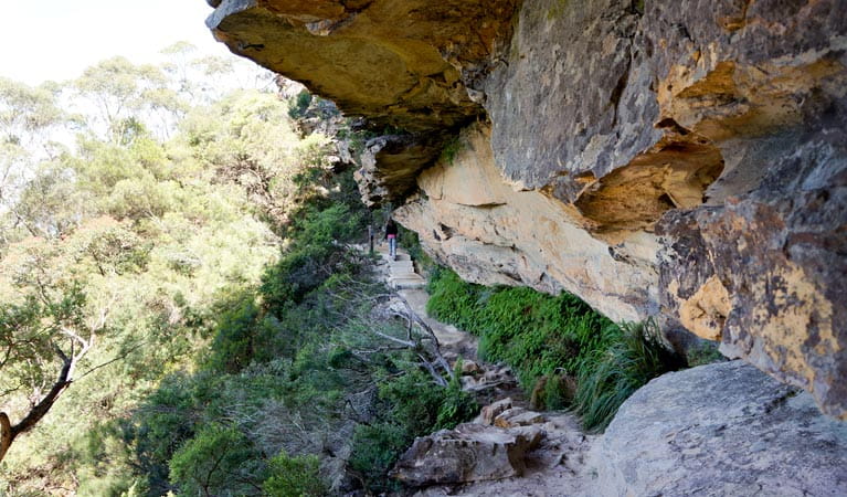 Undercliff-Overcliff circuit, Blue Mountains National Park. Photo: Steve Alton &copy; OEH