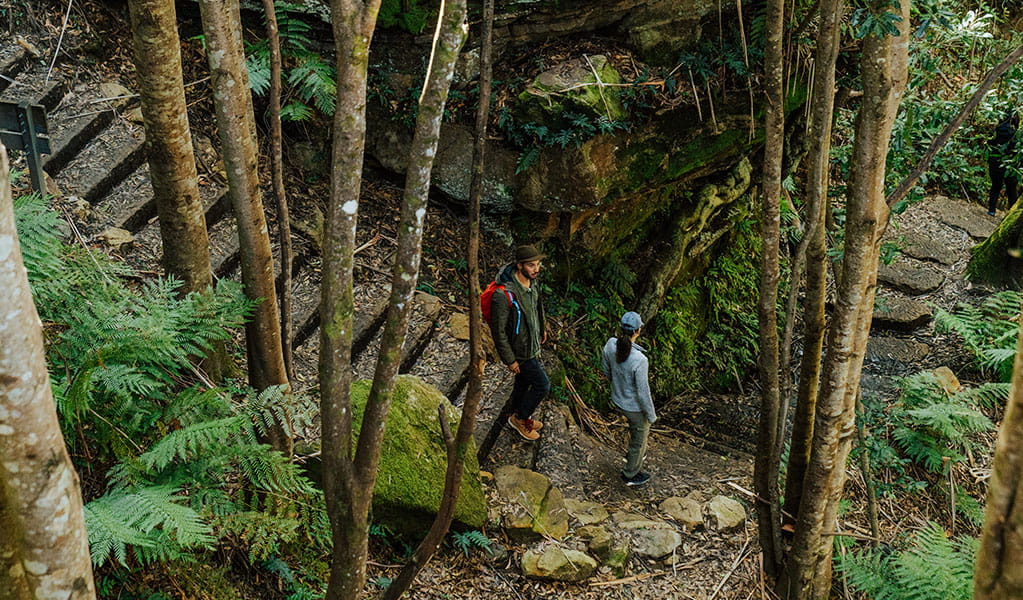 2 walkers on Pool of Siloam walk, Blue Mountains National Park. Photo: Remy Brand &copy; Remy Brand