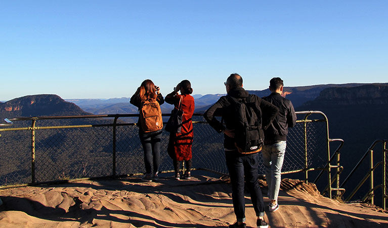 So many lookouts to choose from along Prince Henry Cliff walk. Photo: Natasha Webb