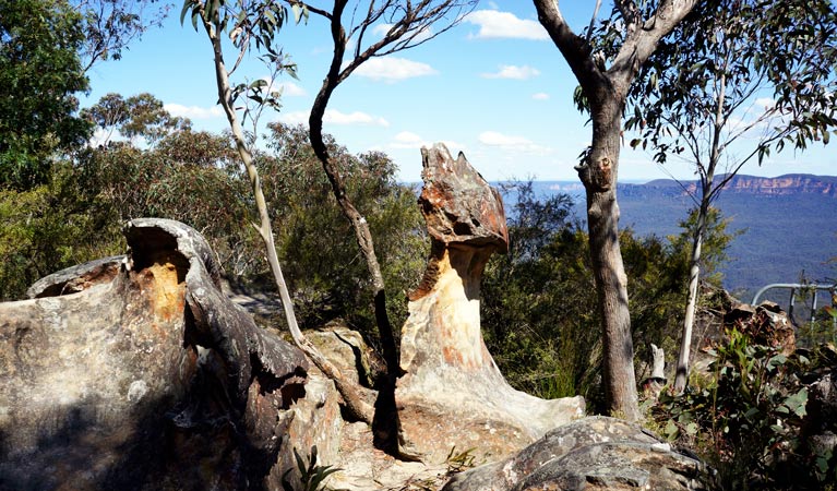 Prince Henry Cliff Walk, Blue Mountains National Park. Photo: Steve Alton &copy; OEH