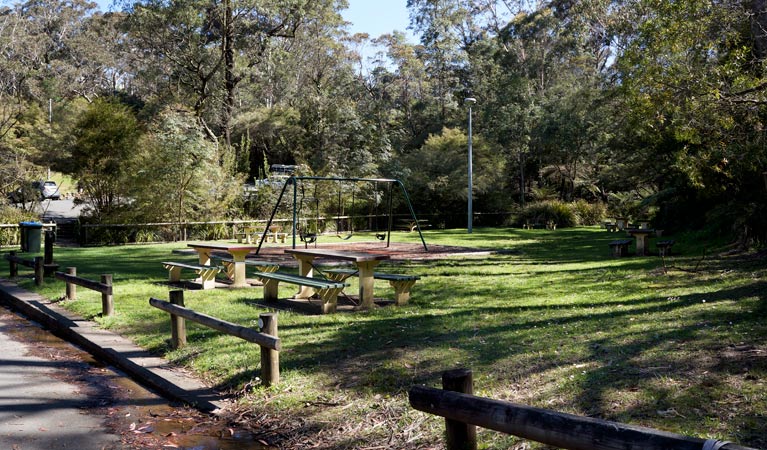 Prince Henry Cliff Walk, Blue Mountains National Park. Photo: Steve Alton &copy; OEH