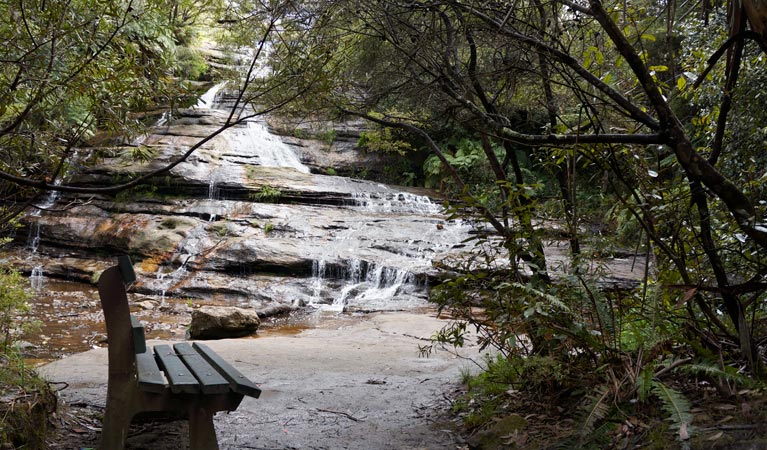 Prince Henry Cliff Walk, Blue Mountains National Park. Photo: Steve Alton &copy; OEH