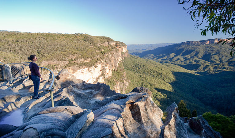 Princes Rock walking track, Blue Mountains National Park. Photo: Nick Cubbin &copy; OEH