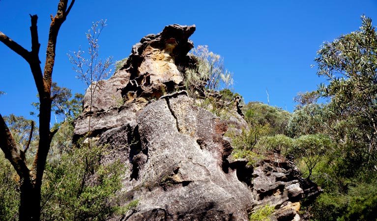 Rocket Point Lookout Track, Blue Mountains National Park. Photo: Steve Alton &copy; OEH