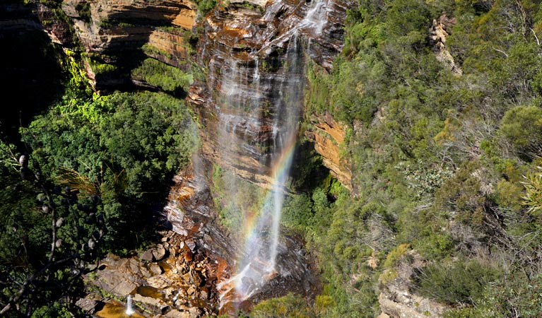 Rocket Point Lookout Track, Blue Mountains National Park. Photo: Steve Alton &copy; OEH