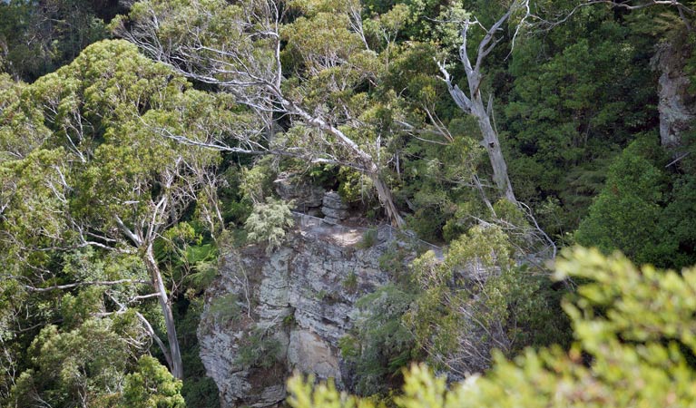 Juliets Balcony, Round Walking Track, Blue Mountains National Park. Photo: Steve Alton