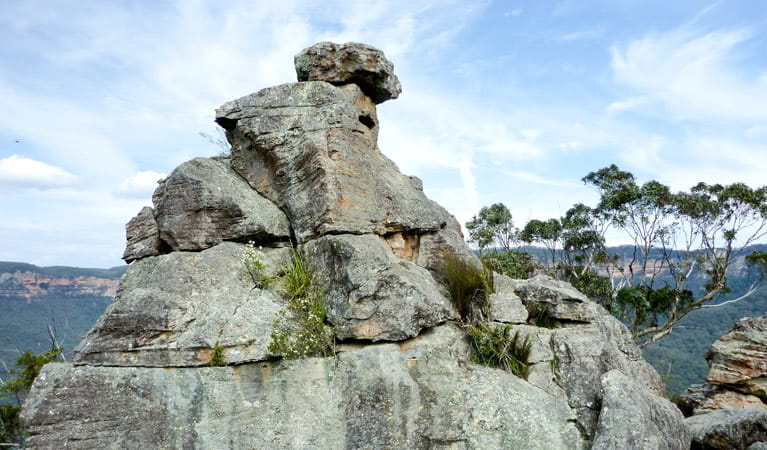 Ruined Castle Walking Track, Blue Mountains National Park. Photo: K.McClelland/NSW Government