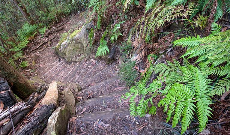 Ruined Castle walking track, Blue Mountain National Park. Photo: Nick Cubbin &copy; OEH