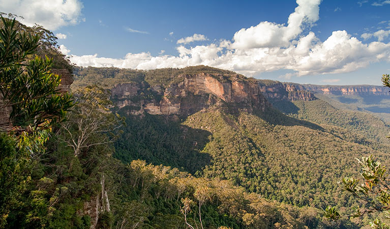 Ruined Castle walking track, Blue Mountain National Park. Photo: Nick Cubbin &copy; OEH