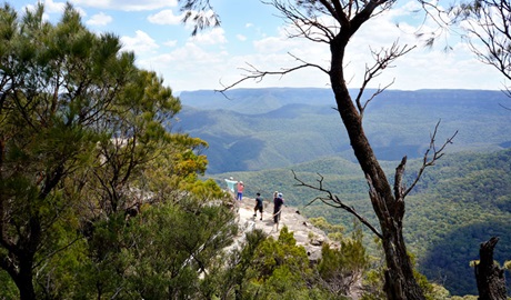 Sublime Point Lookout, Blue Mountains National Park. Photo: Steve Alton/NSW Government