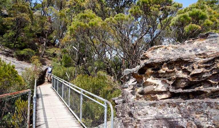 Sublime Point Lookout, Blue Mountains National Park. Photo: Steve Alton/NSW Government