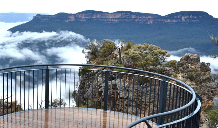 Lady Game lookout, Three Sisters walk, Blue Mountains National Park. Photo: Rosie Garthwin