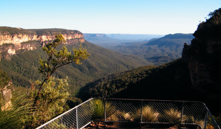 The view from Valley of the Waters lookout, Blue Mountains National Park. Photo: Craig Marshall &copy; Craig Marshall and OEH