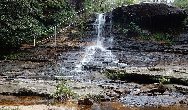 Water spills over Weeping Rock waterfall, near Wentworth Falls, in Blue Mountains National Park. Photo: Arthur Henry &copy; OEH