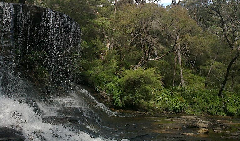 Water spills over Weeping Rock waterfall, near Wentworth Falls, in Blue Mountains National Park. Photo: Arthur Henry &copy; OEH