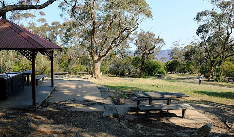 Barbecues and picnic tables at Wentworth Falls picnic area, Blue Mountains National Park. Photo: E Sheargold/OEH.