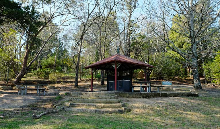 Undercover barbecue facilities at Wentworth Falls picnic area, Blue Mountains National Park. Photo: E Sheargold/OEH.