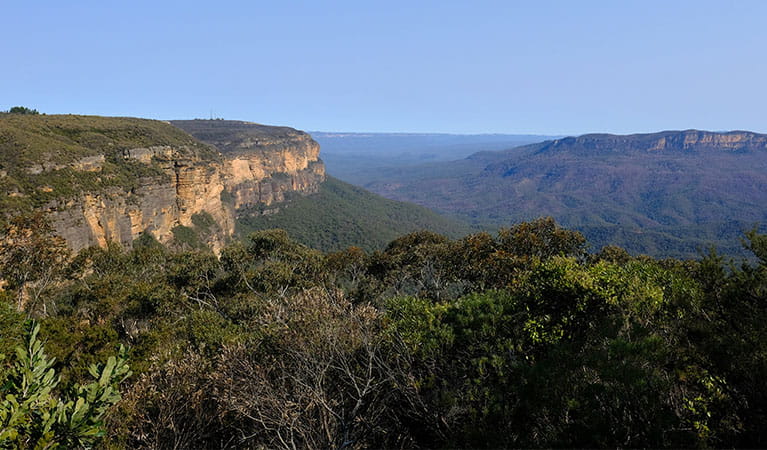 View over the Jamison Valley from Wentworth Falls picnic area, Blue Mountains National Park. Photo: Elinor Sheargold &copy; DPE