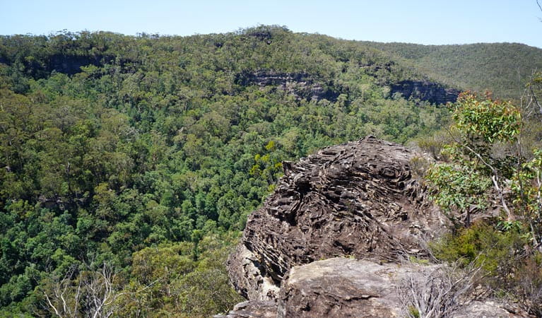 View of Bedford Gorge from Bedford Creek trail, Wentworth Falls to Woodford cycle, Blue Mountains National Park. Photo: Stephen Alton/OEH