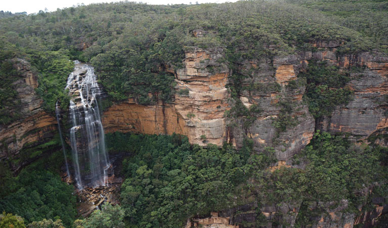 Wentworth Falls, Blue Mountains National Park. Photo: Steve Alton &copy; OEH