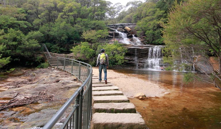 Wentworth Falls track, Blue Mountains National Park. Photo: Elinor Sheargold &copy; OEH