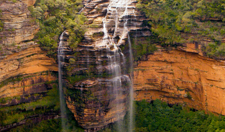 Wentworth Falls waterfall, Blue Mountains National Park. Photo: Steve Alton