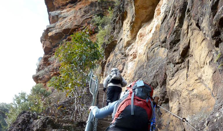 Wentworth Pass, Blue Mountains National Park. Photo &copy; Aine Gliddon