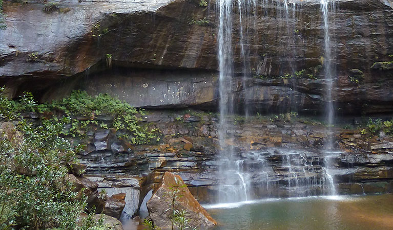 Wentworth Pass, Blue Mountains National Park. Photo &copy; Aine Gliddon