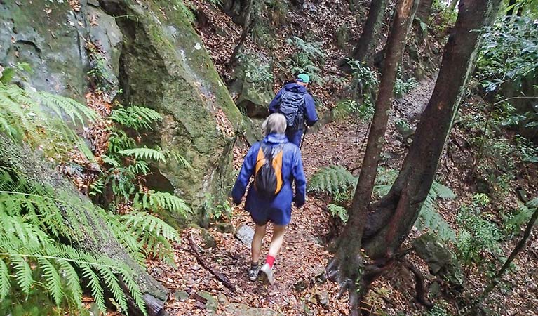 Visitors bushwalking, Wentworth Pass, Blue Mountains National Park. Photo &copy; Aine Gliddon