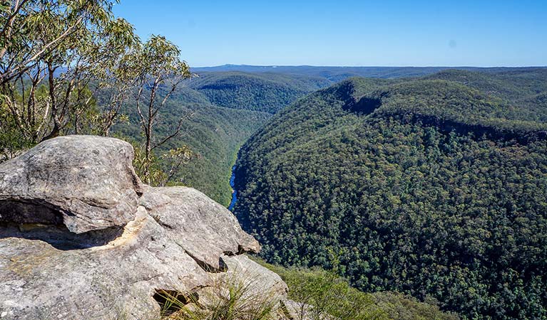 View of Grose River from Faulconbridge Point, Blue Mountains National Park. Photo: Steve Alton/OEH