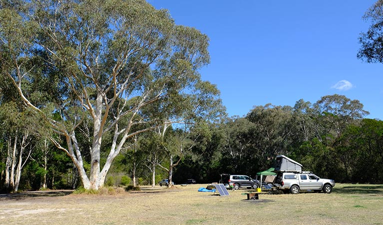 Burralow Creek campground, Blue Mountains National Park. Photo: E Sheargold/OEH